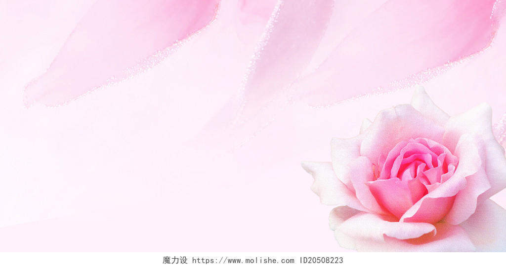 粉色玫瑰花鲜花情人节母亲节妇女节爱情浪漫花瓣背景妇女节母亲节粉色